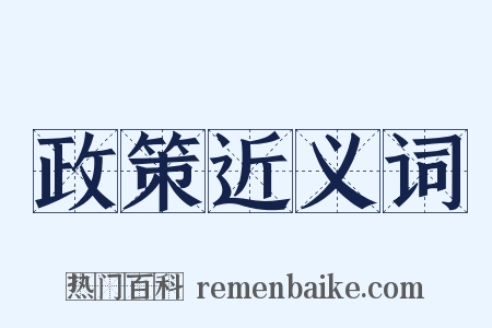 政策近义词是什么意思的图片